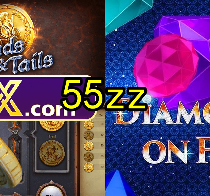 55zz.com